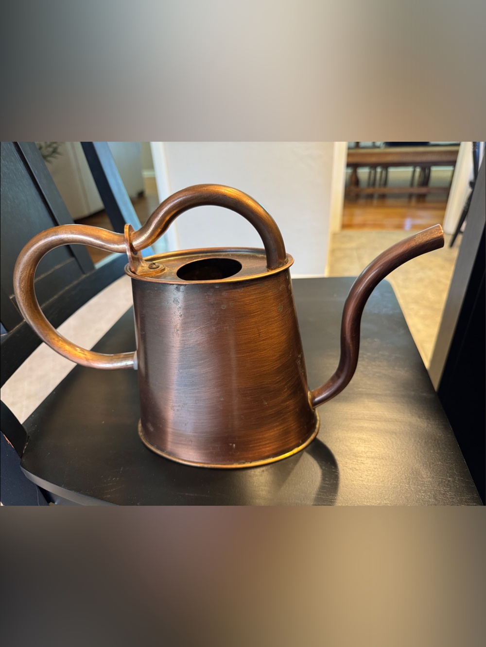 Decorative Copper-Tone Watering Can - Rustic Copper Finish